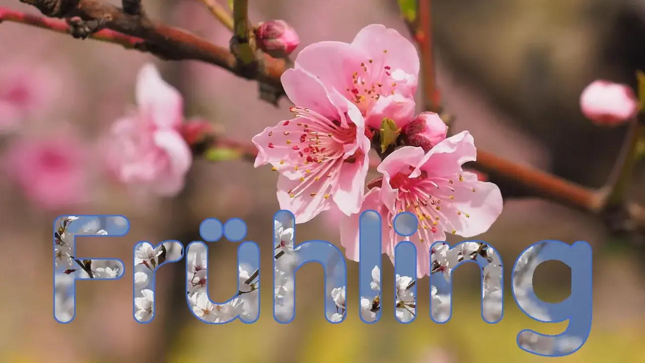 lokomotive-fruehling