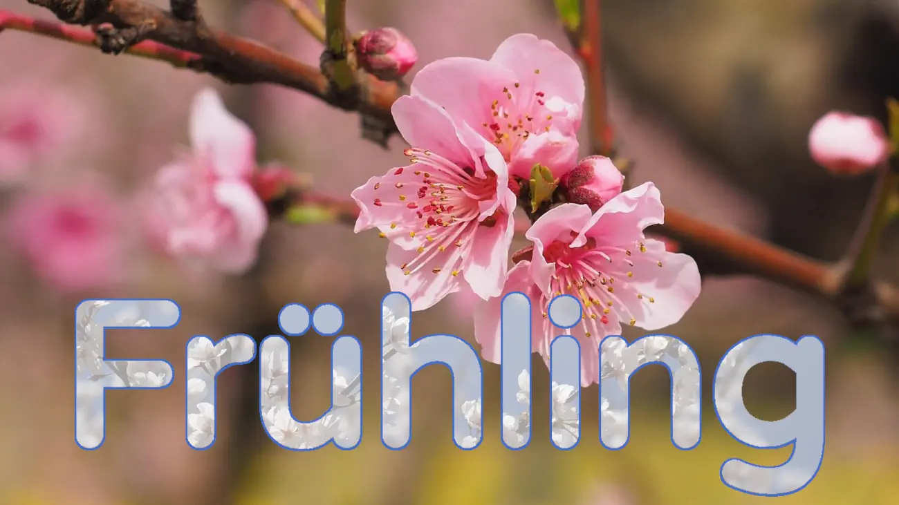 lokomotive-fruehling2